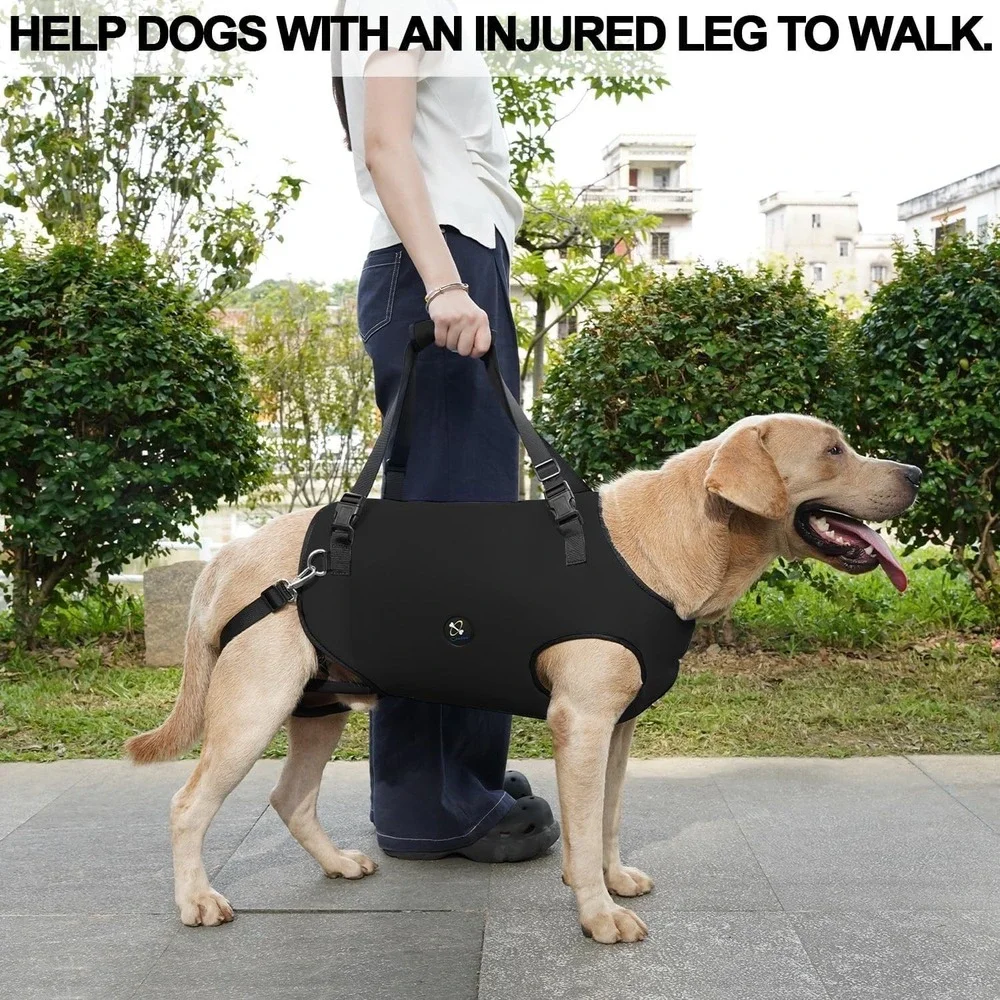 Coodeo Pet Support Harness XS Dog Sling Lift for Disabled Dogs Walking Aid Black